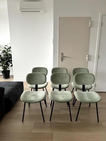6 chaises de salle à manger meublées