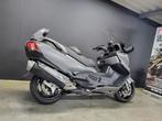 Suzuki AN 650 Burgman Executive, Scooter, Entreprise, Plus de 35 kW, 650 cm³