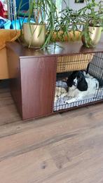 Hondenkooikast met kledingkast als nieuw, Dieren en Toebehoren, Ophalen, Zo goed als nieuw, Hondenhok