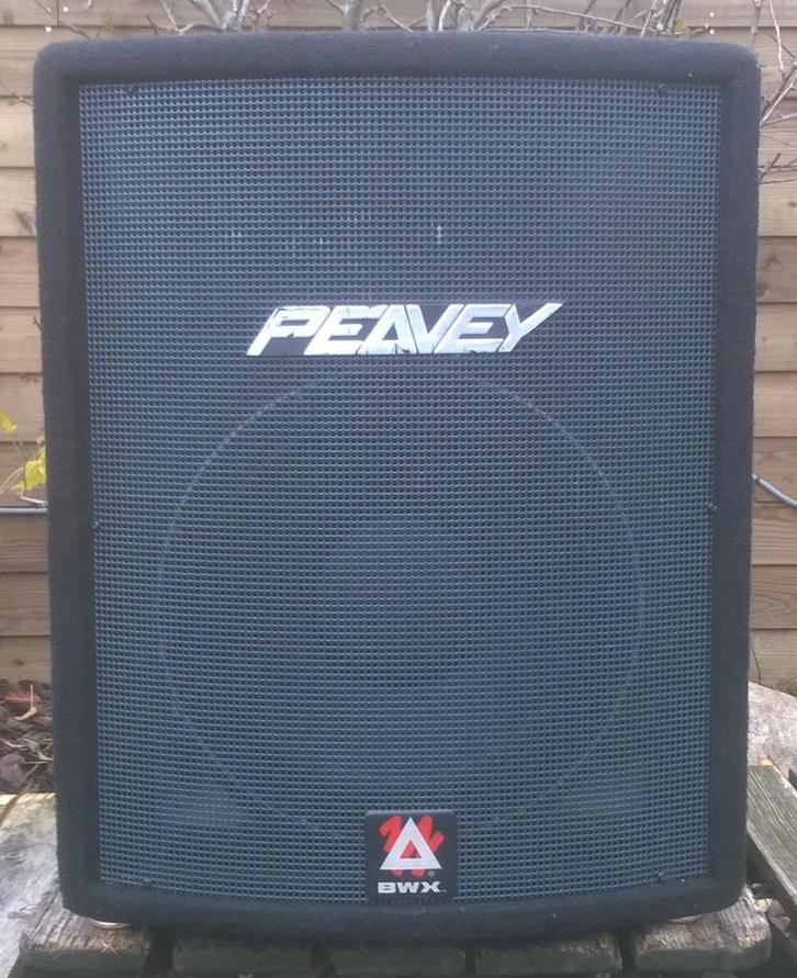Luidsprekers Peavey Hysis 1RX 500 Watt, 2 stuks, Audio, Tv en Foto, Luidsprekerboxen, Zo goed als nieuw, Overige typen, 120 watt of meer