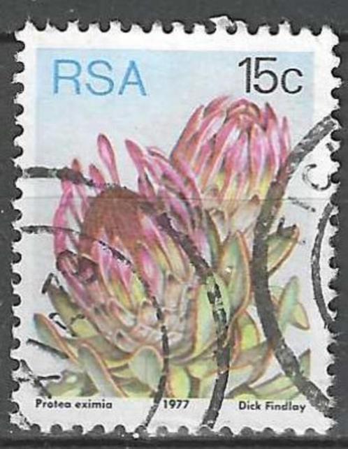 Zuid-Afrika 1977 - Yvert 426 - Breedbladige suikerstruik (ST, Timbres & Monnaies, Timbres | Afrique, Affranchi, Afrique du Sud