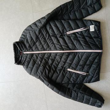 herenjas Tom Tailor beschikbaar voor biedingen