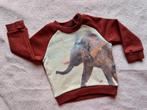 Sweater JBC (maat 3 maanden), Kinderen en Baby's, Babykleding | Maat 62, Ophalen of Verzenden, Jongetje, Zo goed als nieuw, Truitje of Vestje