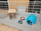 Cavia kooi met accessoires, Ophalen, Zo goed als nieuw, Kooi, Cavia