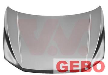 Volkswagen T-roc 2017+ motorkap 2GA 823 031 A 2GA 823 031  beschikbaar voor biedingen