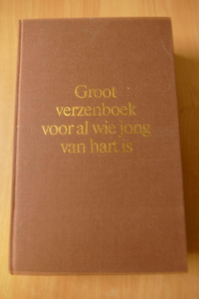 GROOT VERZENBOEK, Boeken, Gedichten en Poëzie, Zo goed als nieuw, Ophalen of Verzenden