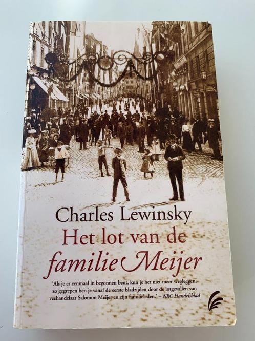 Het lot van de familie Meijer, Boeken, Romans, Gelezen, België, Ophalen of Verzenden