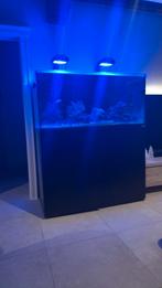 Waterbox 130.4, Dieren en Toebehoren, Ophalen, Zo goed als nieuw