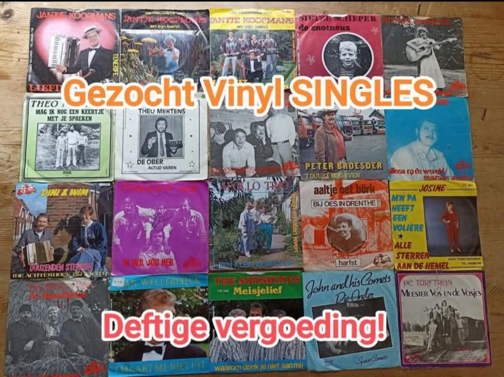 GEZOCHT! Lot vinyl singles Vlaams/NL, Ophalen
