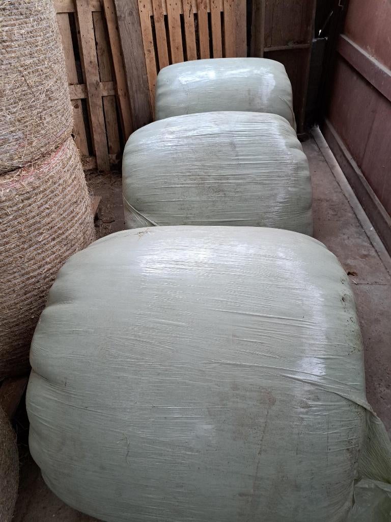 Voordroog -hooi, Articles professionnels, Agriculture | Aliments pour bétail, Enlèvement