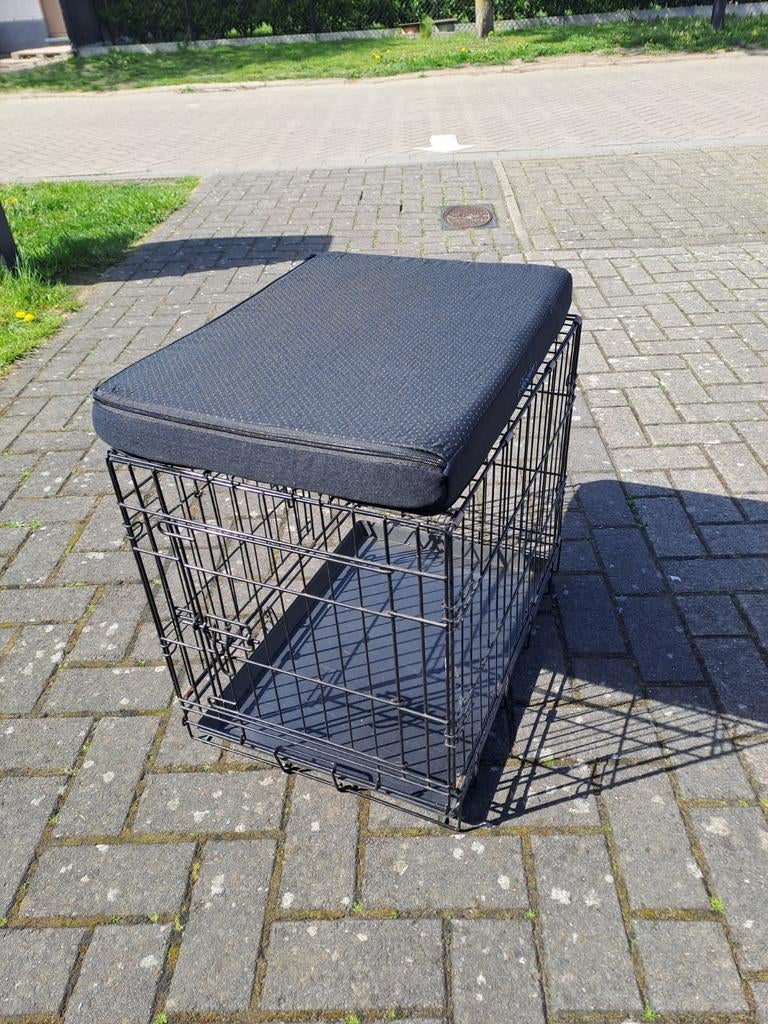 Honde benc, Animaux & Accessoires, Caisses pour chiens, Enlèvement