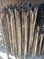 Kastanjehek 100 cm, Ophalen, Zo goed als nieuw, Minder dan 10 meter, Overige typen