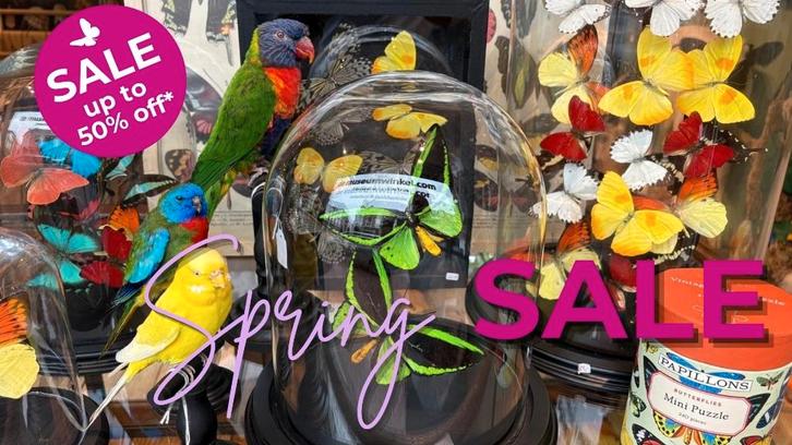 Sale op heel veel artikelen bij De museumwinkel!, Verzamelen, Dierenverzamelingen, Nieuw, Overige typen, Overige soorten, Ophalen of Verzenden