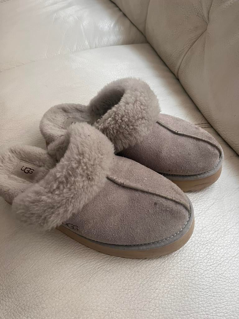 Ugg slipers, Vêtements | Femmes, Chaussures, Enlèvement, Porté, Gris, Pantoufles