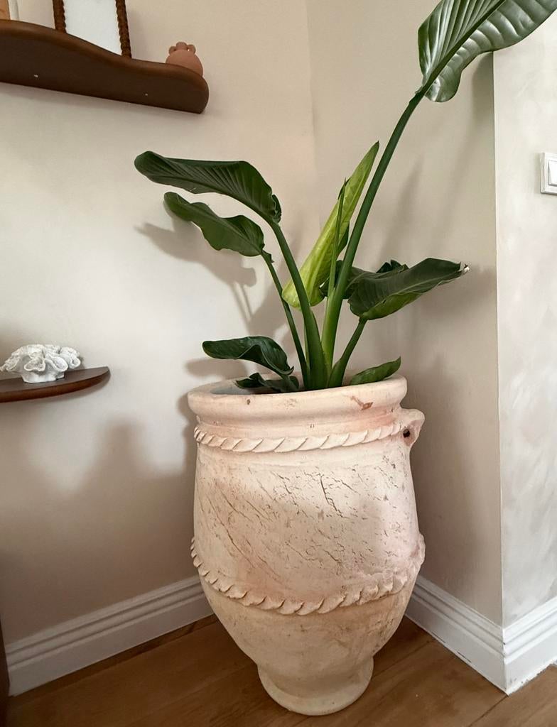 Vase tamegroute, Enlèvement, Neuf