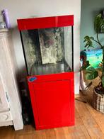 Zeeaquarium moet dees week weg, Dieren en Toebehoren, Vissen | Aquaria en Toebehoren, Ophalen, Zo goed als nieuw