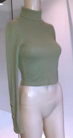 trui cropped groen Tally Weijl XS, Kleding | Dames, Ophalen of Verzenden, Nieuw, Maat 34 (XS) of kleiner, Groen