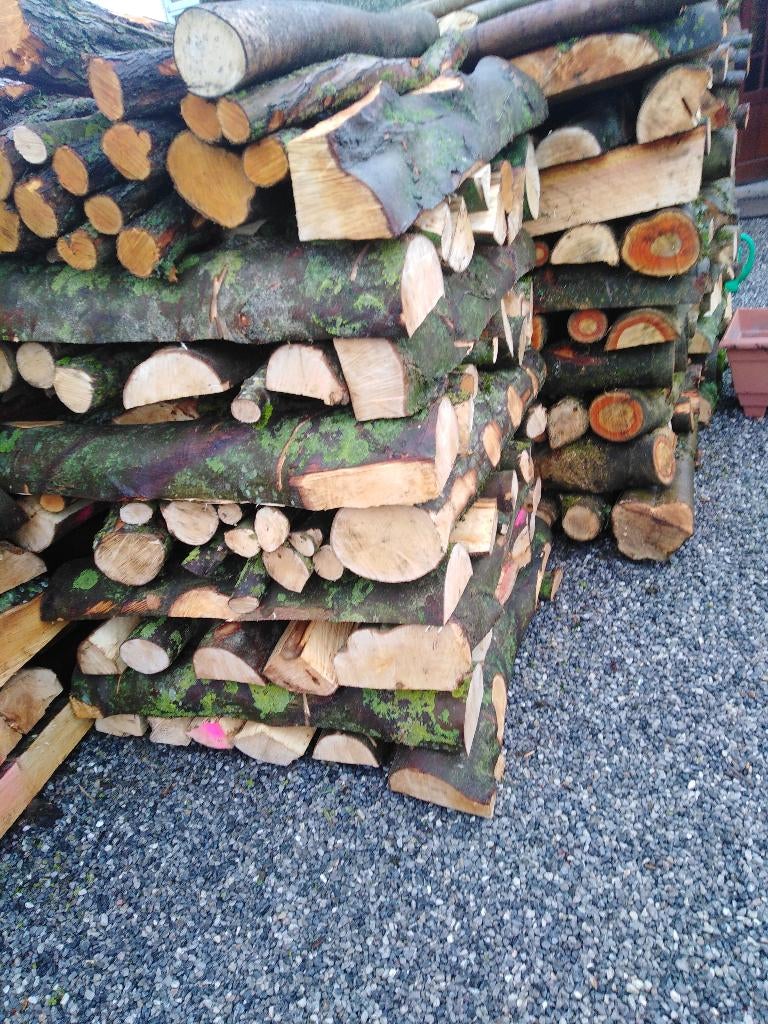 bois de chauffage, Enlèvement, Neuf