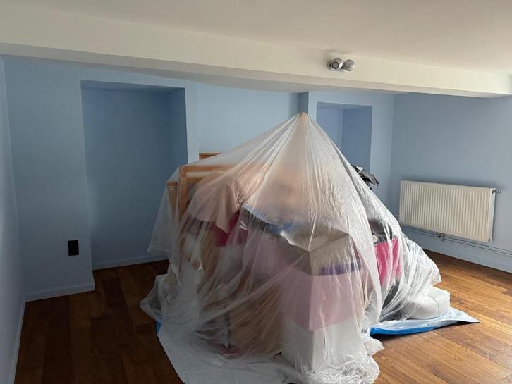 Peinture, Bricolage & Construction, Peinture, Vernis & Laque, Neuf, Peinture, 20 litres ou plus, Autres couleurs, Enlèvement ou Envoi