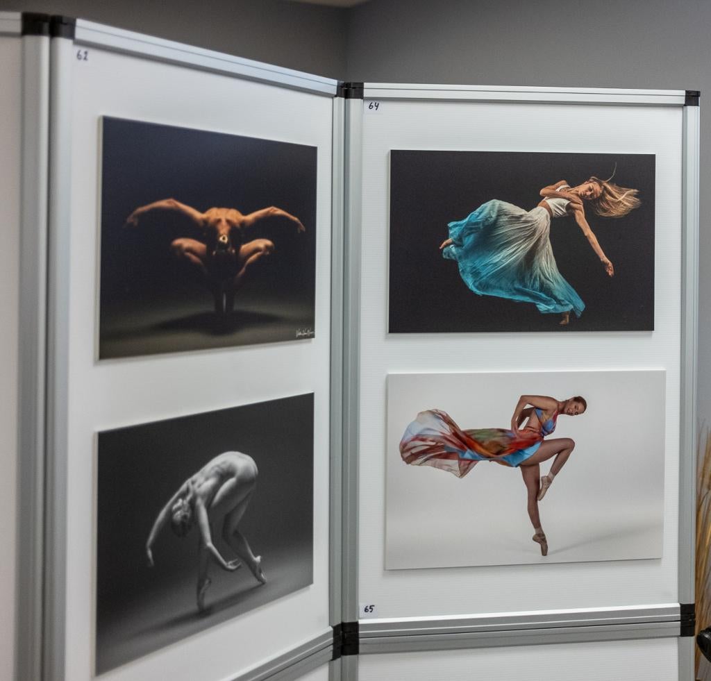 Expositiepanelen, Enlèvement, Utilisé