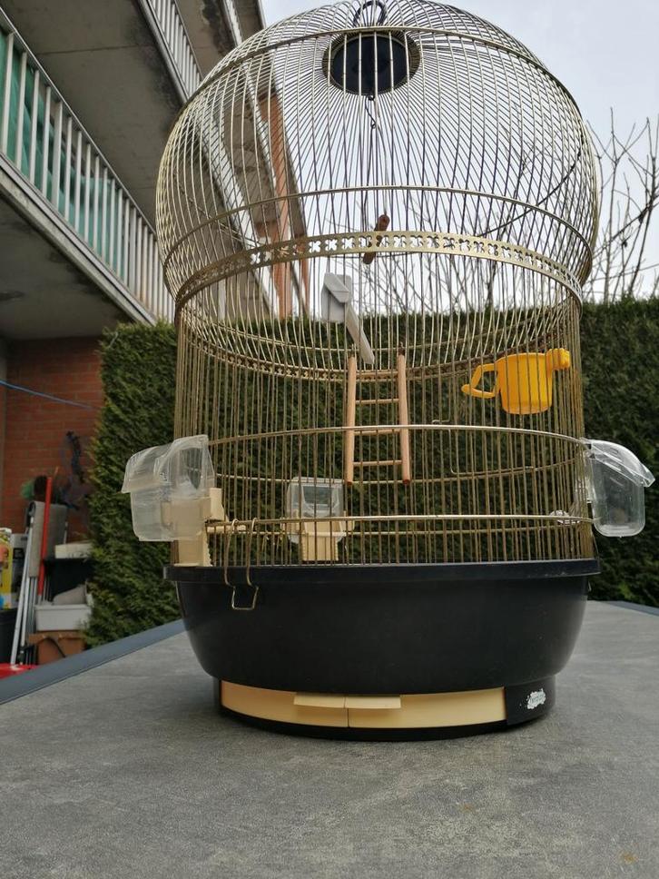 Grande cage à oiseaux, Animaux & Accessoires, Oiseaux | Cages & Volières, Cage à oiseaux, Enlèvement