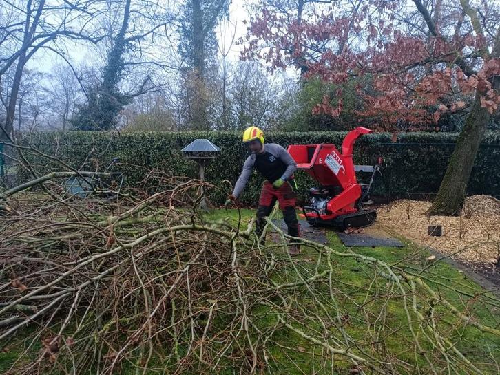 Hakselservice met bediening, Services & Professionnels, Jardiniers & Paveurs, Entretien de jardins ou Taille