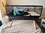 Zolux Neo Knaagdierkooi + toebehoren, Dieren en Toebehoren, Kooi, Gebruikt, Hamster, 75 tot 110 cm