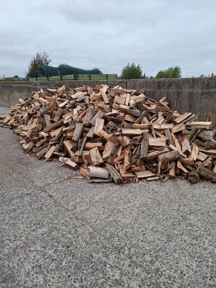 brandhout, Tuin en Terras, Brandhout, Blokken, Overige houtsoorten, 6 m³ of meer, Ophalen