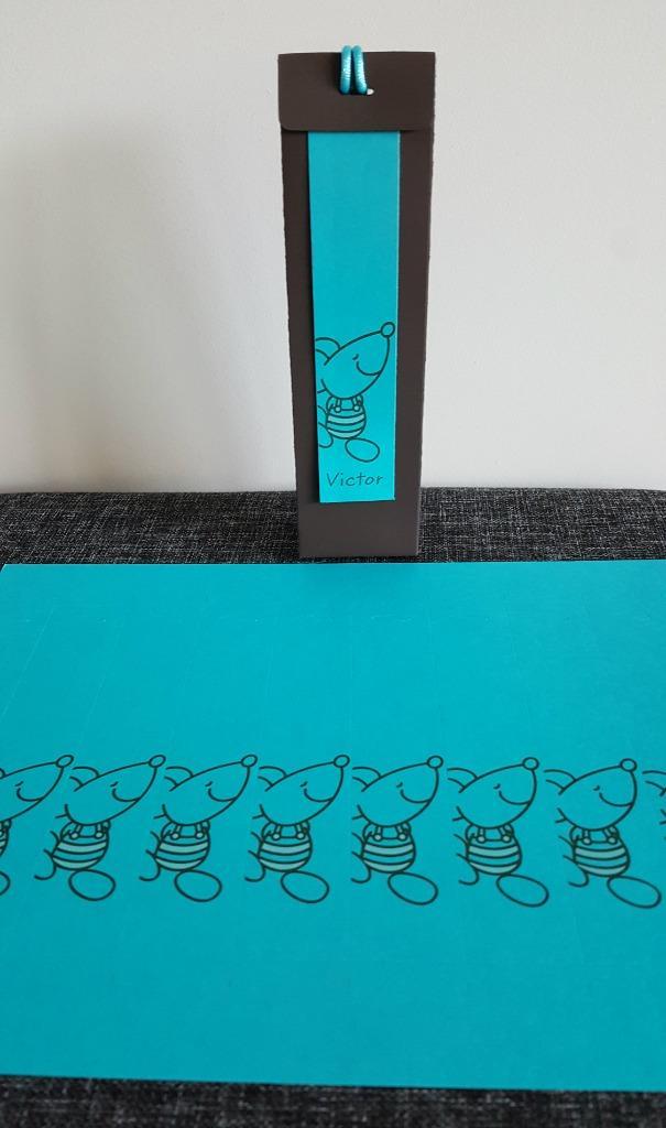Lang naamkaartje met muisjes fuchsia of turquoise, Kinderen en Baby's, Kraamcadeaus en Geboorteborden, Nieuw, Kraamcadeau, Ophalen