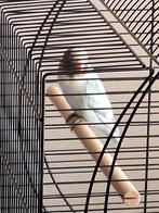 Dwergpapegaai met kooi, Dieren en Toebehoren