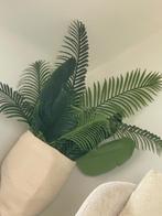 Kunst plant, Tuin en Terras, Vaste plant, Bloeit niet, Volledige schaduw, Ophalen