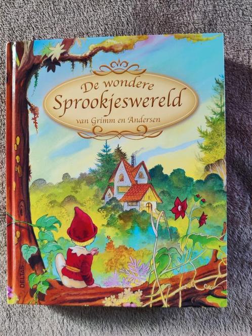 De Wondere Sprookjeswereld van Grimm en Andersen, Livres, Contes & Fables, Comme neuf, Enlèvement ou Envoi
