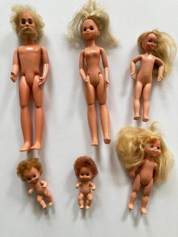 Poppen uit de familie Shunshine beschikbaar voor biedingen