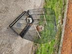 Cage pour oiseaux, Animaux & Accessoires, Enlèvement, Utilisé, Métal, Cage à oiseaux