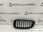 Grill Bumper Links Zwart BMW 4-serie F32/F33/F36 7294813, Gebruikt, Ophalen of Verzenden, BMW, BMW