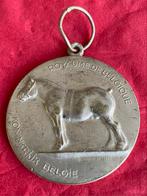Médaille: doe een bod, Postzegels en Munten, Penningen en Medailles, Ophalen, Overige materialen