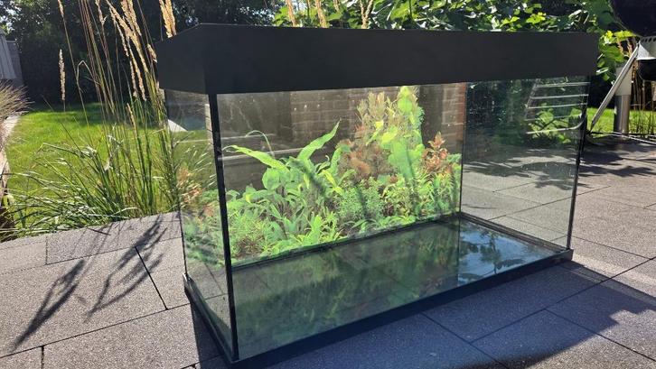 Juwel Rio 125 Aquarium + toebehoren, Dieren en Toebehoren, Vissen | Aquaria en Toebehoren, Gebruikt, Leeg aquarium, Ophalen