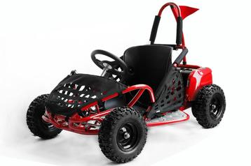 Kinderbuggy 80cc 30 kmh beschikbaar voor biedingen