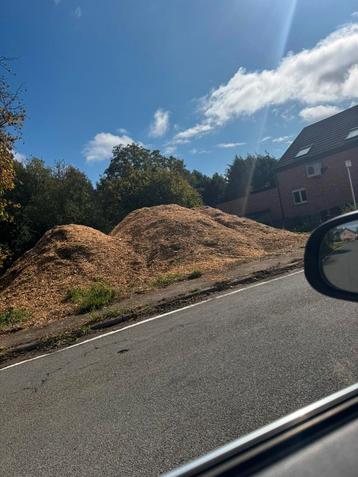 Houtsnippers beschikbaar voor biedingen