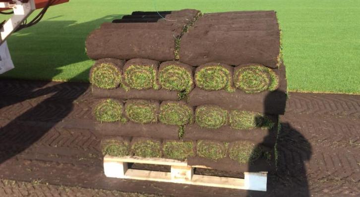 Graszoden op rol, Jardin & Terrasse, Gazon & Gazon artificiel, Neuf, Herbe, 20 m² ou plus, Enlèvement