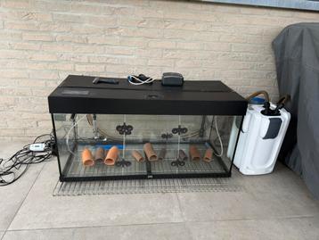 Aquarium met bijhorende externe filter, kweekbak vissen beschikbaar voor biedingen