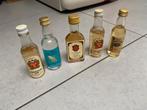6 mini flesjes rum, Verzamelen, Ophalen of Verzenden, Zo goed als nieuw