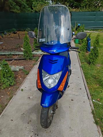Honda Lead 100 cc-  B rijbewijs beschikbaar voor biedingen