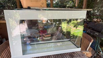 Superbe aquarium complet et presque neuf beschikbaar voor biedingen