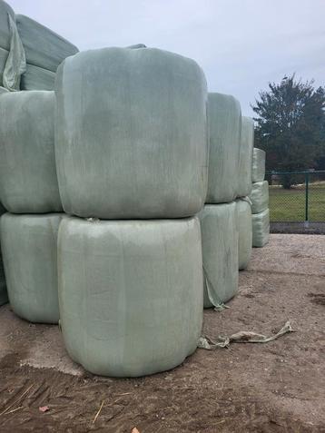 Voordrooghooi en tarwe stro te koop  beschikbaar voor biedingen