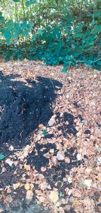 Compost, Tuin en Terras, Aarde en Mest, Ophalen, Compost