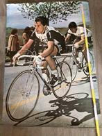 Wielerposter 1978 team scic giuseppe saronni  moser, Verzenden