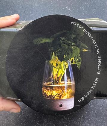 Led-terrarium  beschikbaar voor biedingen