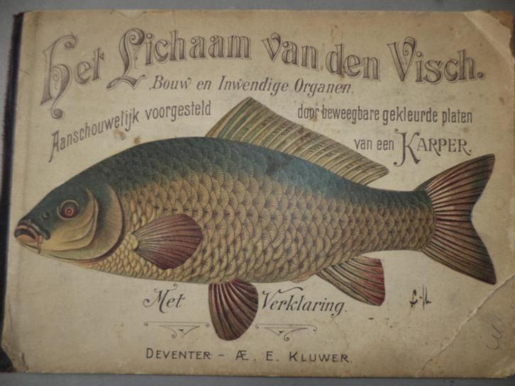 ca 1895 Het Lichaam van den Visch Deventer Kluwer KARPER VIS, Antiek en Kunst, Kunst | Litho's en Zeefdrukken, Ophalen of Verzenden