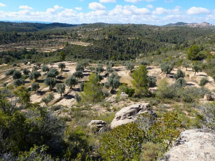 Finca in Calaceite (Aragón, Spanje) - 1071, Immo, Buitenland, Spanje, Overige soorten, Landelijk